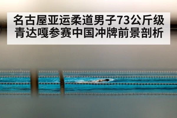 名古屋亚运柔道男子73公斤级青达嘎参赛中国冲牌前景剖析